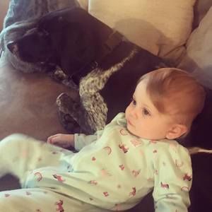 Meet your Posher, William